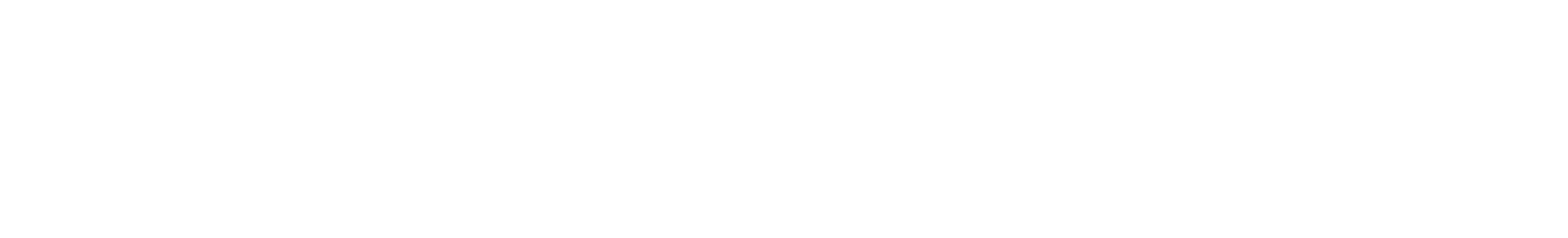 RevoTravel